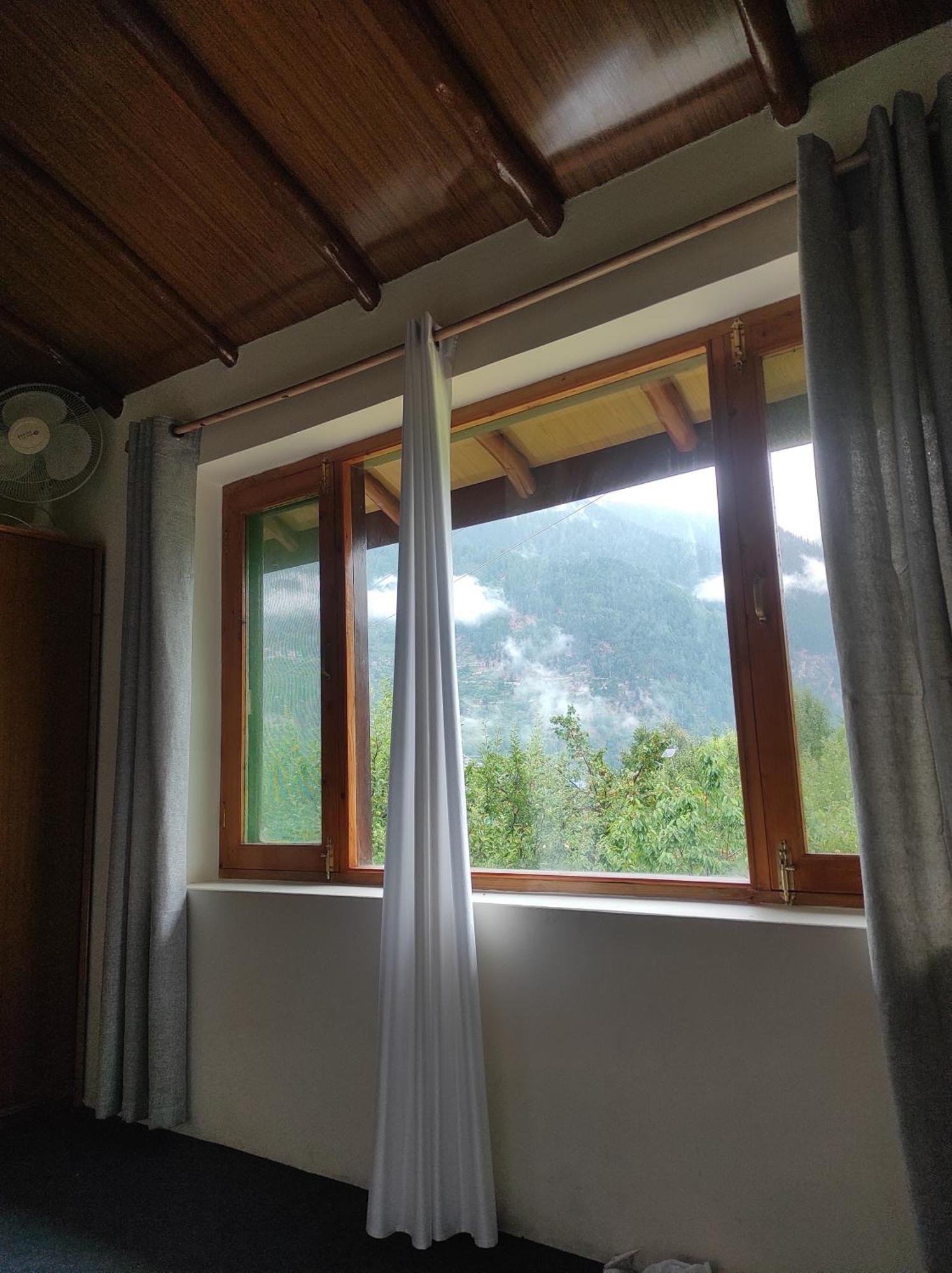 King Room with Garden View