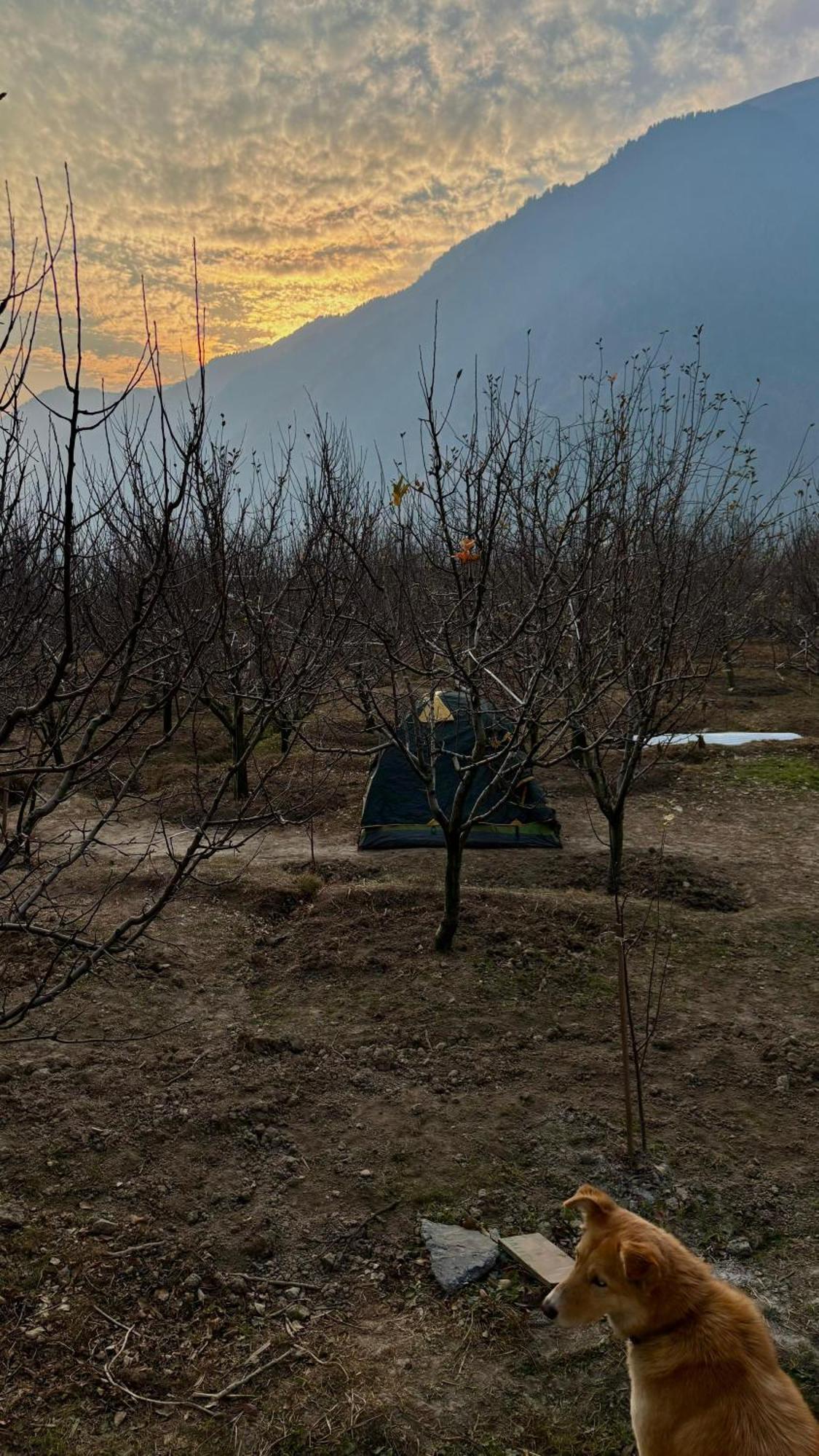 Tent